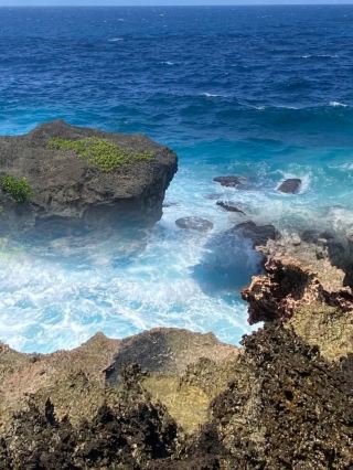 Christmas Island—A Dreamlike Rhapsody in the Indian Ocean
