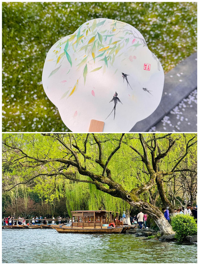 杭州帶娃已回，我的消費觀崩塌了！因為一首歌來到一座城