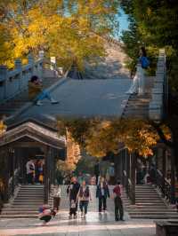 春日限定 | 狀元樓一日遊全攻略  在春暖花開的時節，來一場說走就走的旅行，入住充滿古韻的狀元樓，