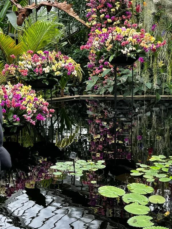 London Exhibition: Kew Gardens Orchid Festival