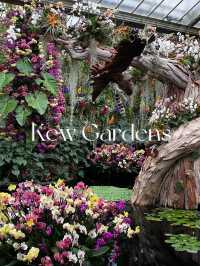 London Exhibition: Kew Gardens Orchid Festival