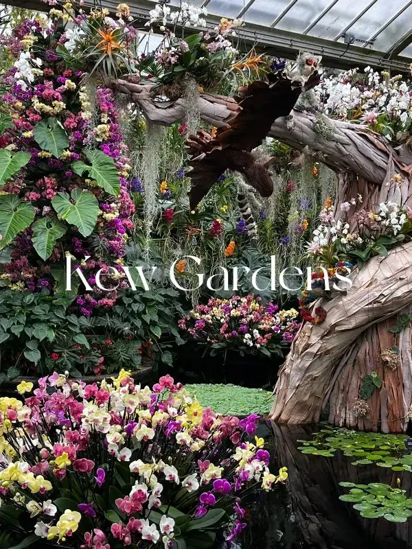 London Exhibition: Kew Gardens Orchid Festival