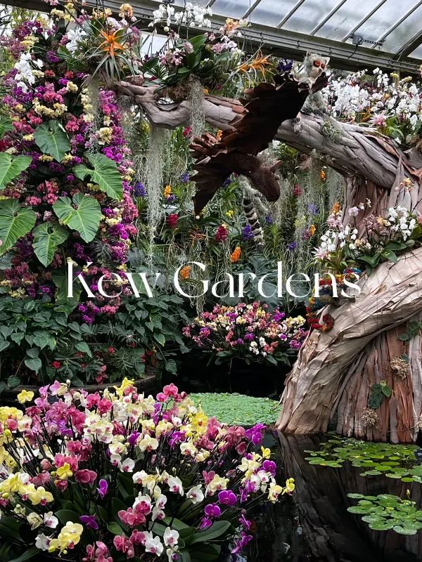 London Exhibition: Kew Gardens Orchid Festival