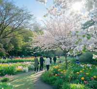 「南京綠野仙蹤」中山植物園深度探秘：解鎖都市人最治癒植物星球