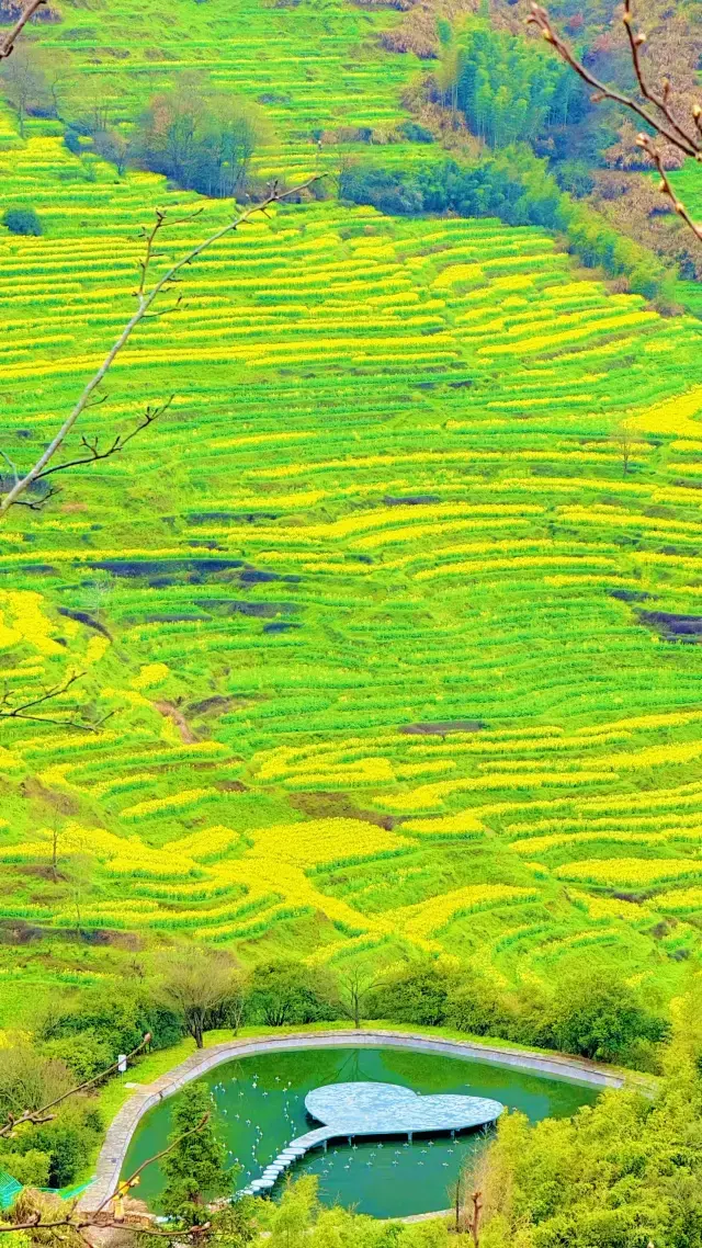 Tham quan Ruộng bậc thang Vụ Nguyên ở đâu? Một hướng dẫn cực kỳ đầy đủ sắp ra mắt! 》
