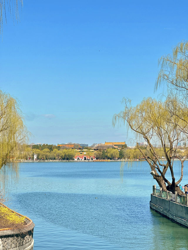 人生建議：春天一定要來一趟北海公園