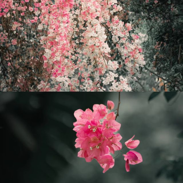 誰懂園博園裡的真江南啊！