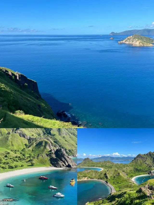 Komodo is truly stunning.