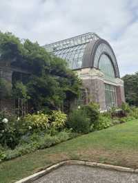 One Of The Best Free Things In Auckland, The Stunning Winter Gardens 