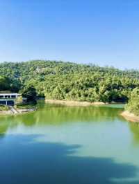 湖光樹影：黑沙水庫的自然絮語