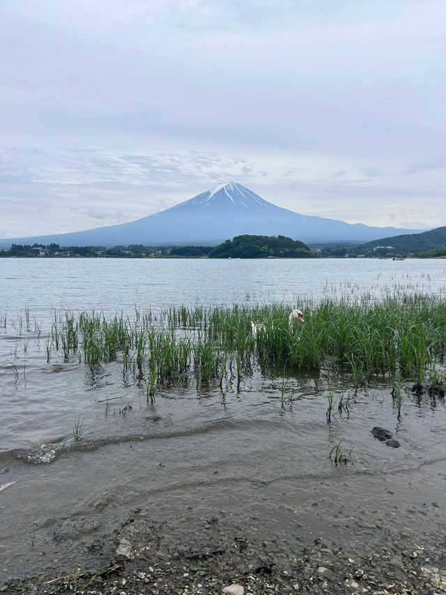 只需3天 特全的日本旅遊攻略來啦
