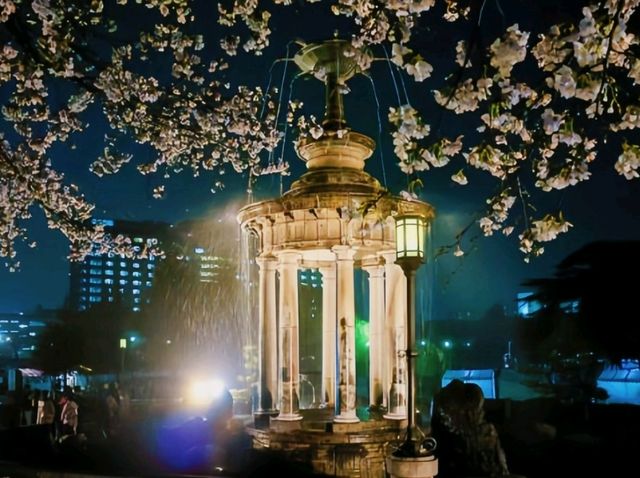 🌸Trip接送機|日本春日出遊指南·名古屋1