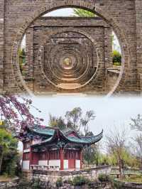 昆明庾園，我今年見過最震撼的海棠花