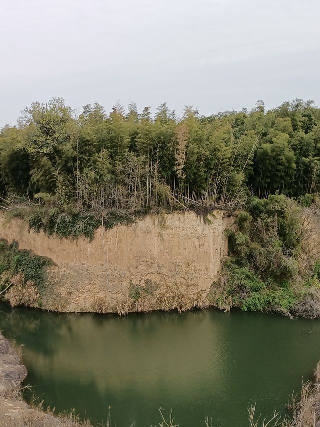 袁花梨花紀：野鴨戲水春意濃