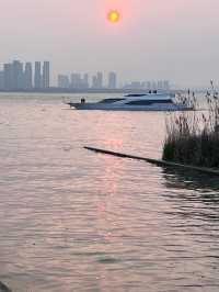 蘇州獨墅湖一日遊攻略 | 櫻花與日落交織的春日浪漫