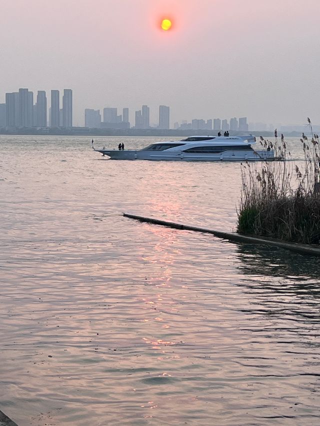 蘇州獨墅湖一日遊攻略 | 櫻花與日落交織的春日浪漫