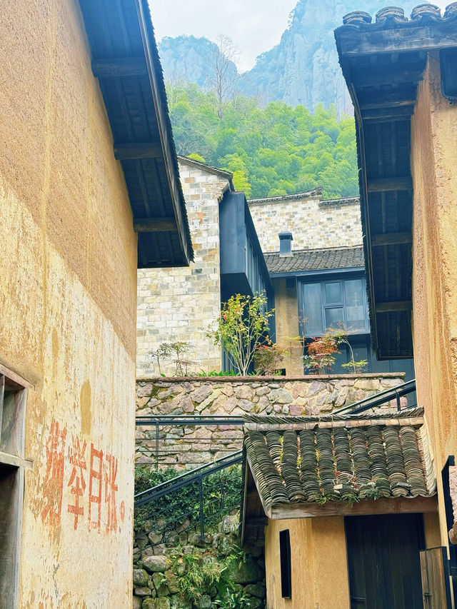 不捨野馬嶺 | 入住600年歷史的古村落