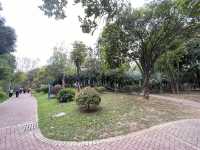 🏡☘️ 陽春名樹公園 · 偷得浮生半日閒