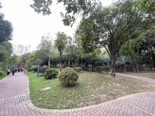 🏡☘️ 陽春名樹公園 · 偷得浮生半日閒