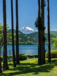 箱根發現了拍攝富士山的最佳位置