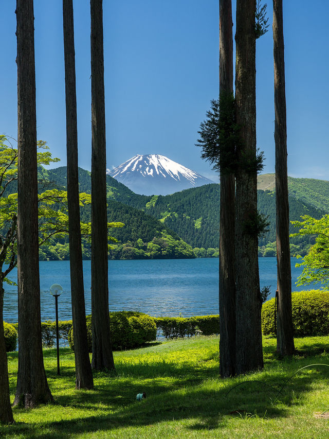 箱根發現了拍攝富士山的最佳位置
