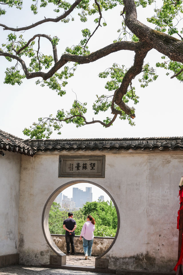 綠意盎然，四月中下旬初遊虎丘