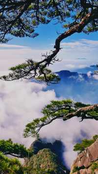 黃山：一場鐫刻在靈魂深處的綺夢之旅