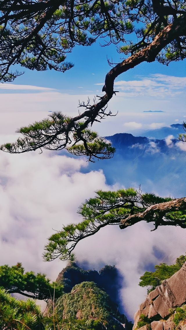 黃山：一場鐫刻在靈魂深處的綺夢之旅
