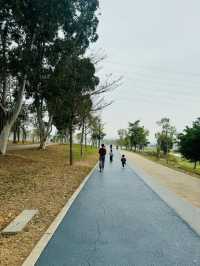 石岩湖濕地公園 | 環湖徒步騎行天花板