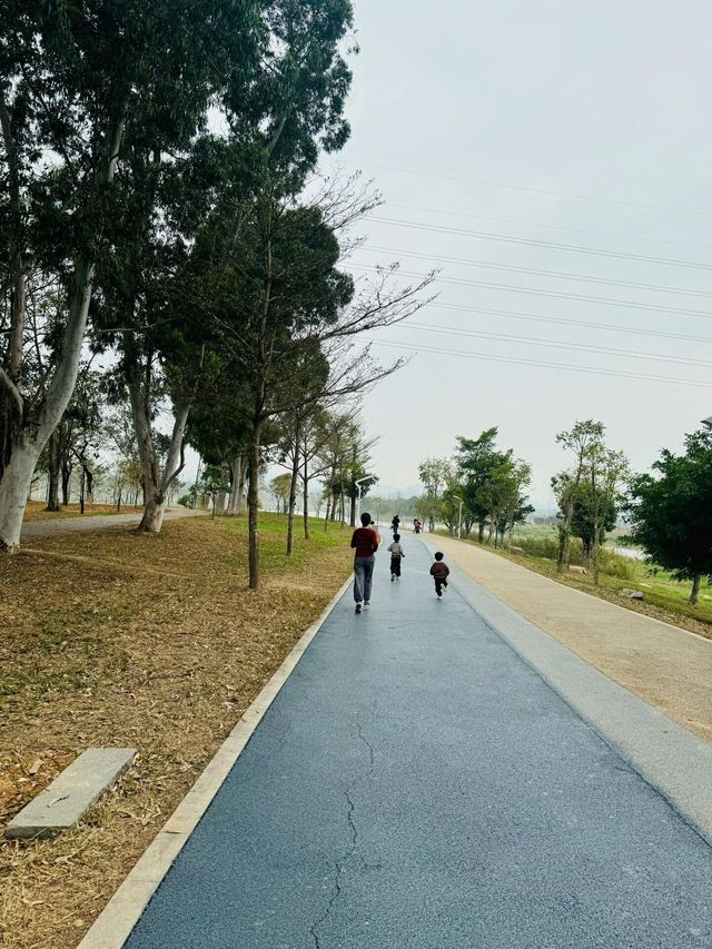 石岩湖濕地公園 | 環湖徒步騎行天花板