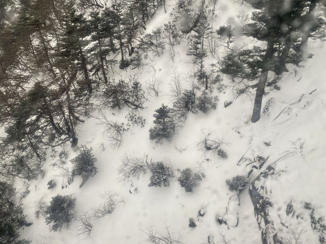 金茂璞修雪山酒店 玉龍雪山 麗江