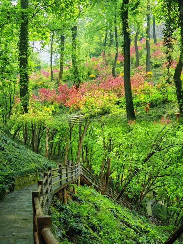 永泉小鎮 | 江南憶 最憶是永泉