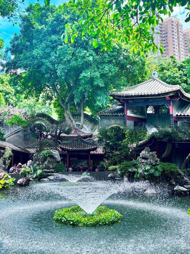 不愧是嶺南四大名園之一，實在太美了！