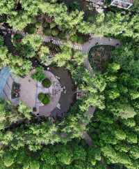 鄭州月季公園詳細旅遊攻略
