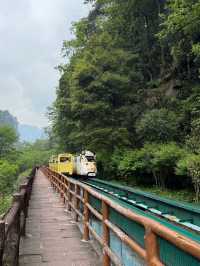 Zhangjiajie - A Dreamlike Mountain Escape 