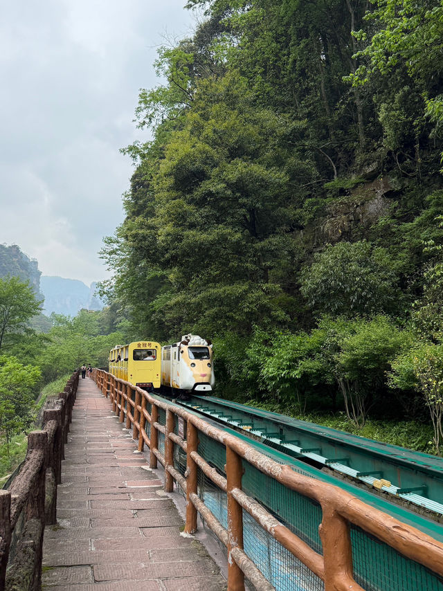 Zhangjiajie - A Dreamlike Mountain Escape 