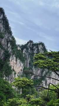 大明山記：雲海與奇峰的千年私語