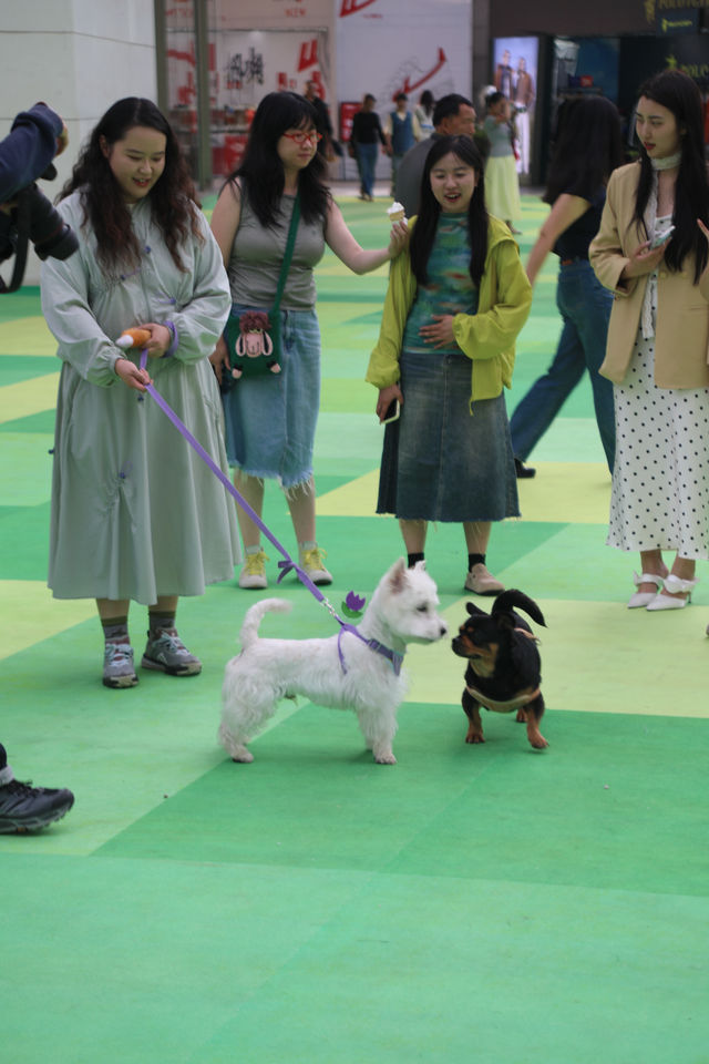 南亞！巨型像素遊樂園太出圈