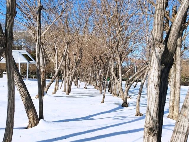 East Lake (东湖) / Dongli Lake Area