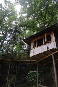 雅安碧峰峽！住進風景絕佳嘅柴火私湯目的地