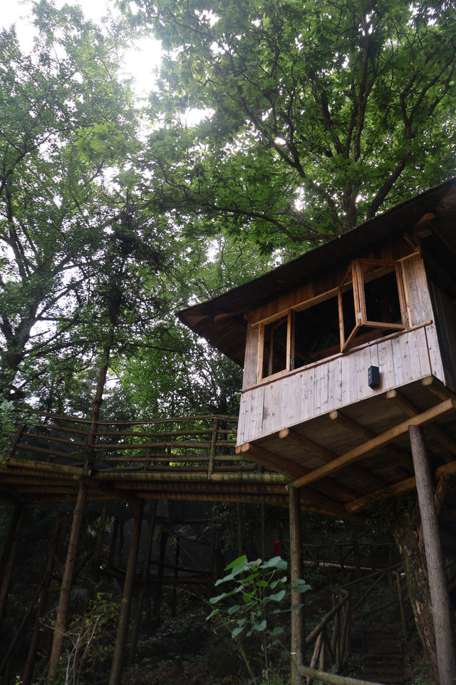 雅安碧峰峽！住進風景絕佳嘅柴火私湯目的地