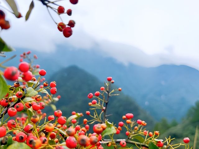 熟悉嘅地方冇風景 行出一步 全部係風景