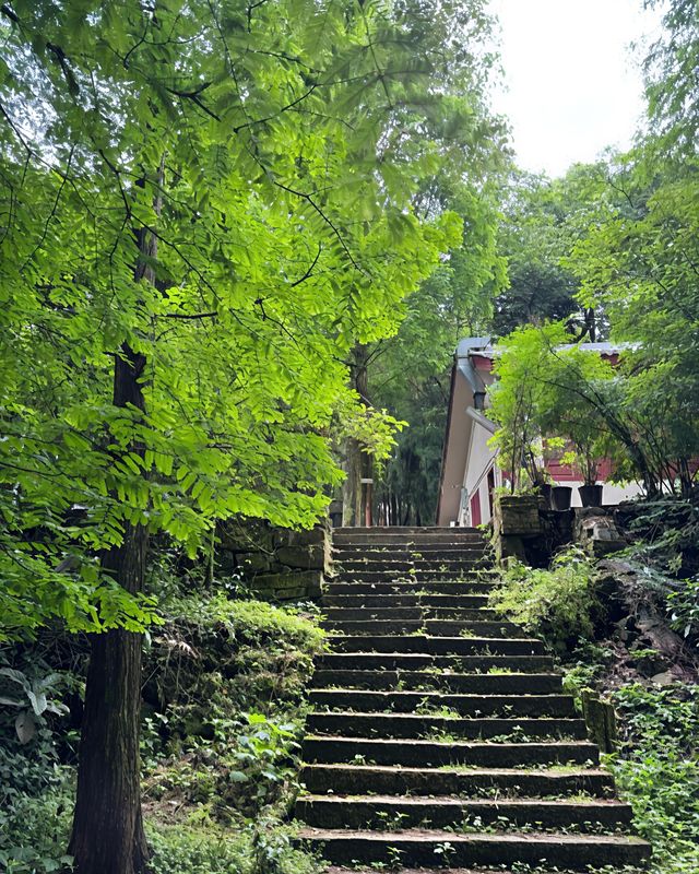 夏日消暑秘笈：呢啲地方令你涼透成個夏天！