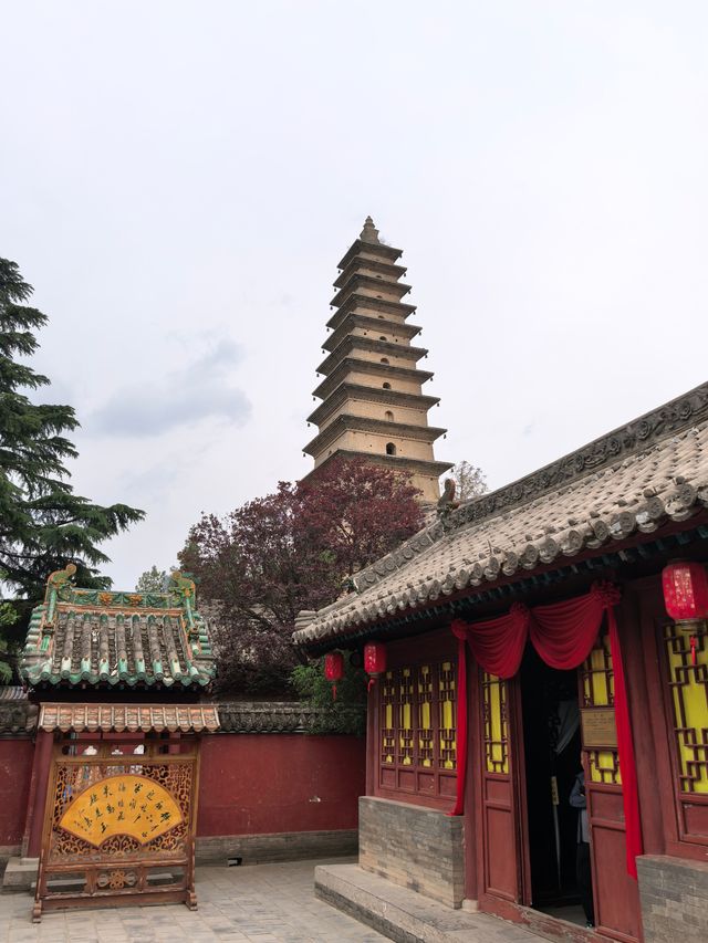 端午假期出行