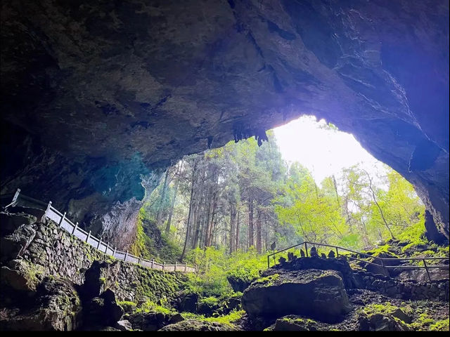  Yaolin national forest park trails 