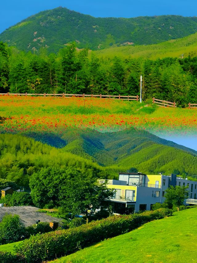 呢座山藏住唔少鮮為人知嘅秘密，據講只有1%嘅人夠膽去探索！