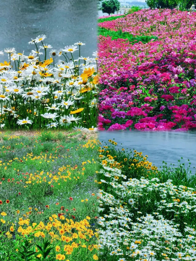 【邯鄲三千年，一城載風華】