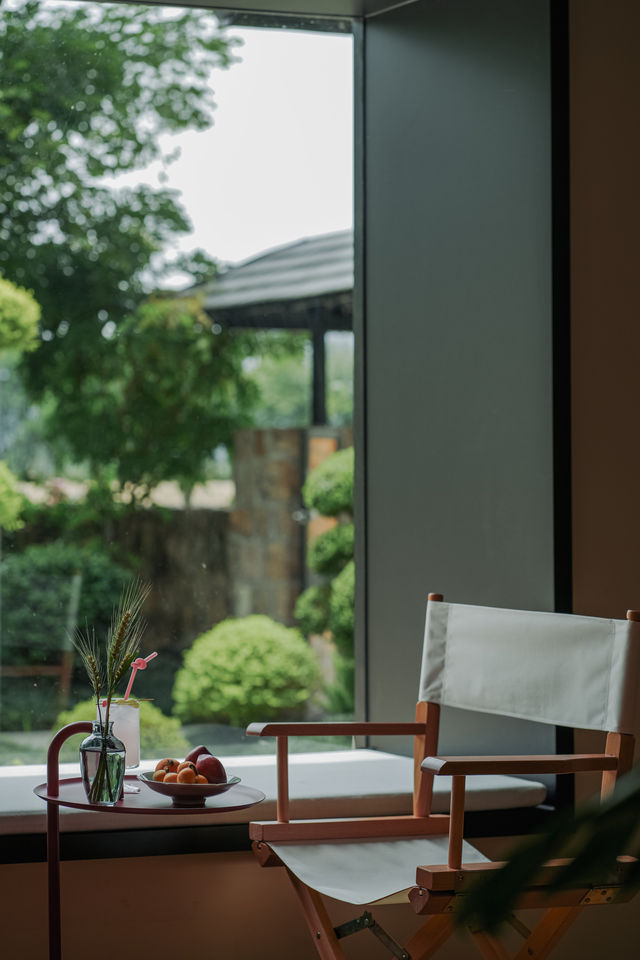 窗外綠蔭，夏日靜好。