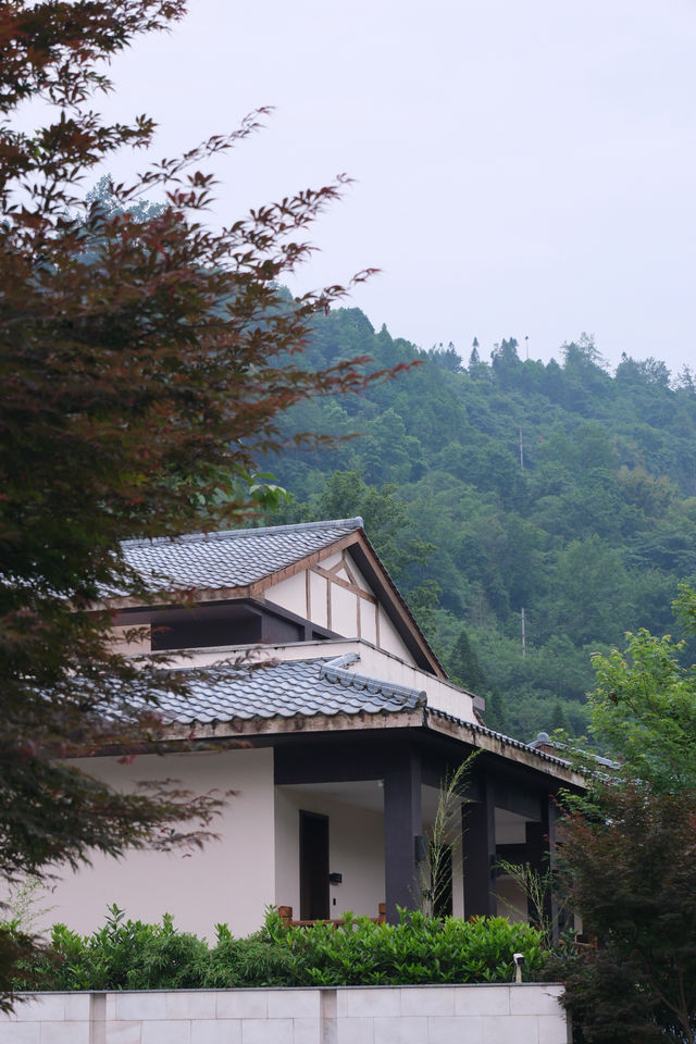 成都花水灣必住酒店！