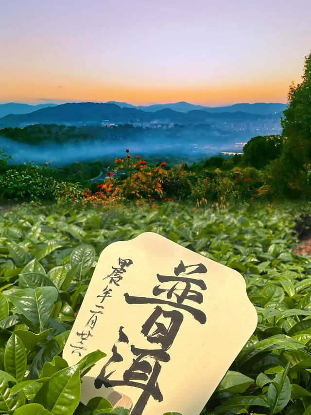 普洱遊玩攻略